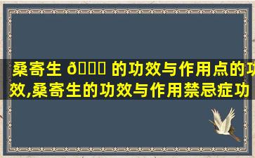 桑寄生 🐞 的功效与作用点的功效,桑寄生的功效与作用禁忌症功效与作用禁忌 🍀 症